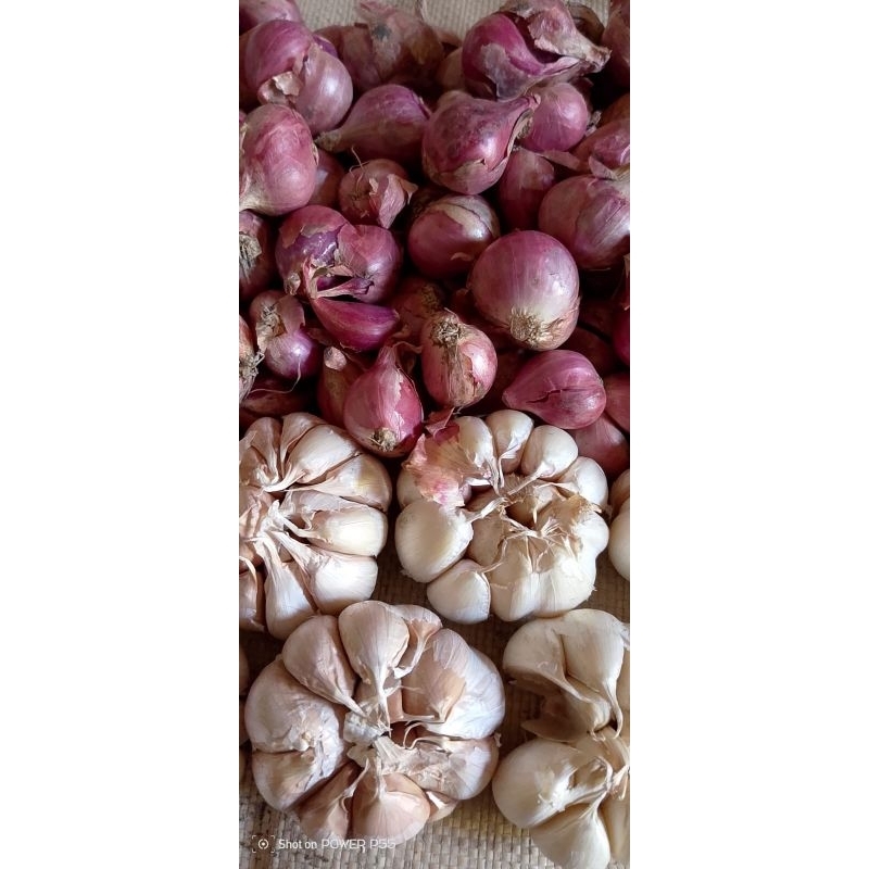 

bawang merah bawang putih sepaket hemat(250gr+250gr)