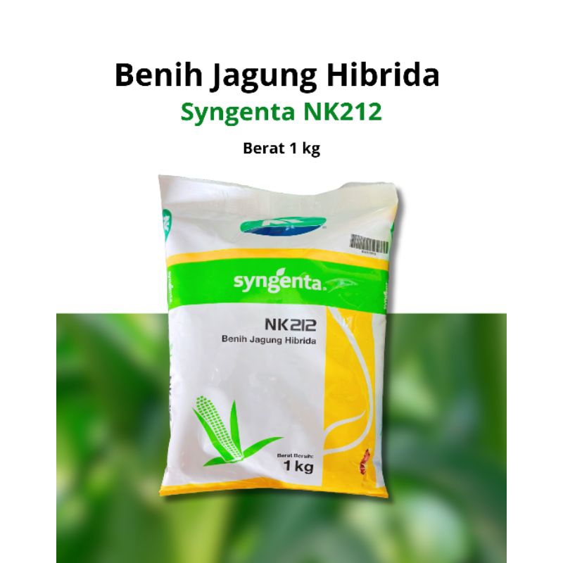 Bibit Jagung Hibrida | Syngenta NK212 | 1 Kg