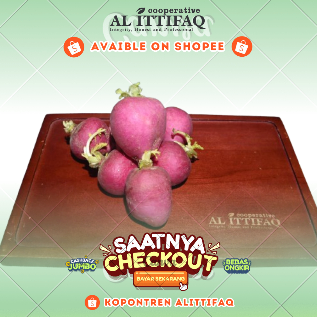 

Radis Sayur Segar 250gr Murah Berkualitas Kopontren Al Ittifaq Bandung