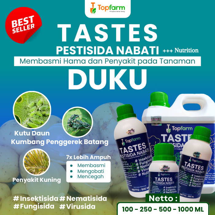 Obat Duku Biar Cepat Berbuah / Obat Booster Buah Duku / Obat Ulat Buah Duku / Obat Pohon Dulu / Obat