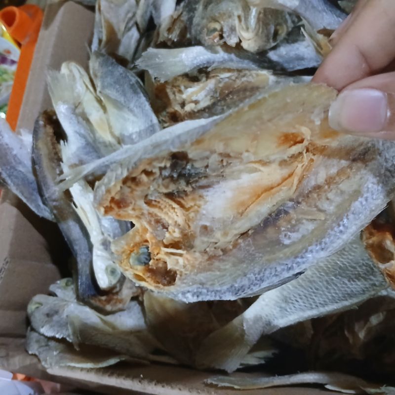 

IKAN ASIN KEPALA BATU