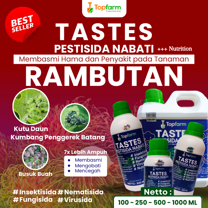 Obat Hama Tanaman Rambutan / Obat Semut Pohon Rambutan / Obat Ulat Buah Rambutan / Obat Semut Pada T