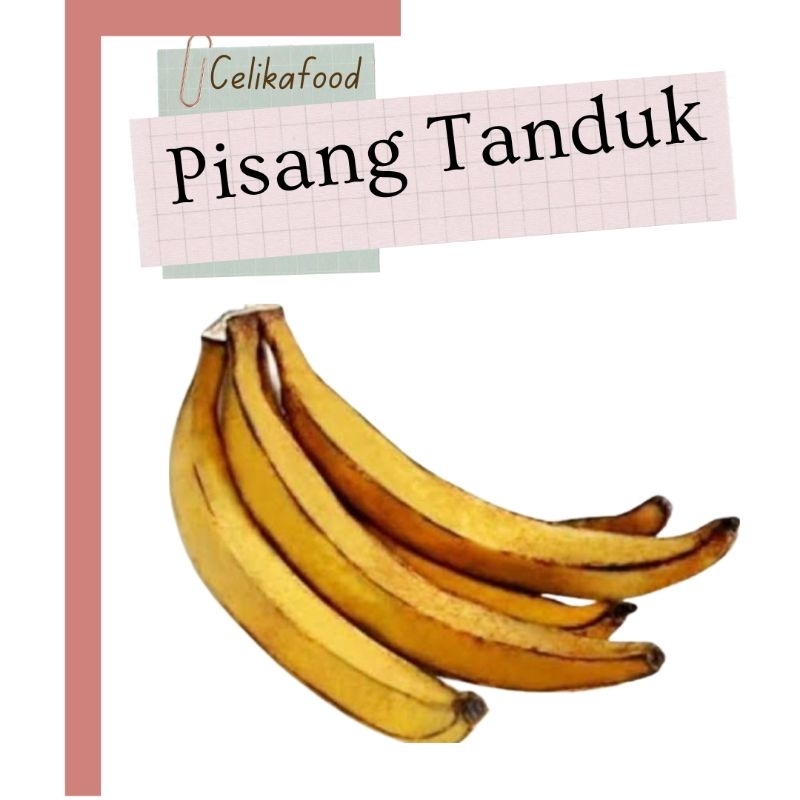 

Pisang Tanduk 1 Sisir 1kg Buah Banana Fresh Fruit