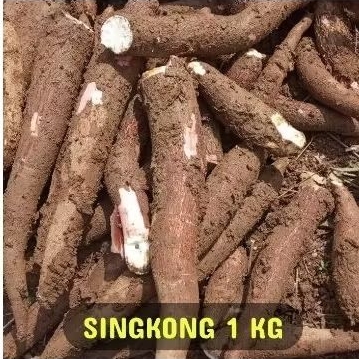 

Singkong Ketela Pohon 1kg