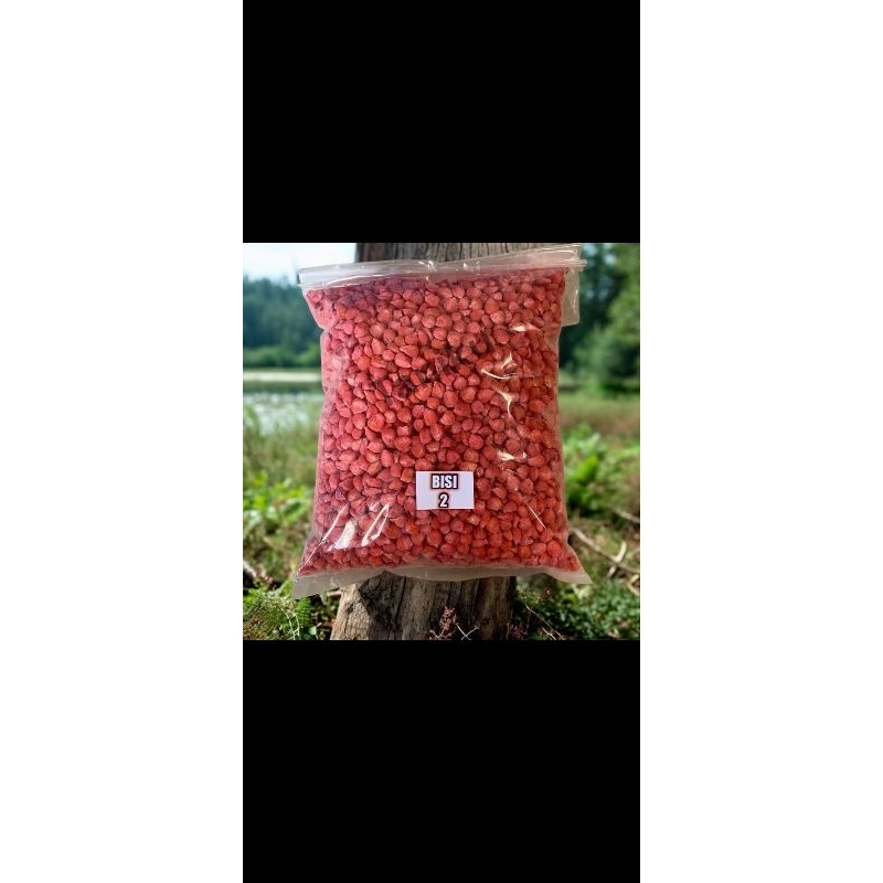 

JAGUNG BISI-2 500 GRAM REPACK ECERAN