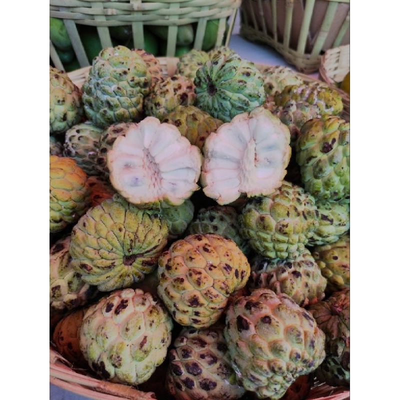 

buah surikaya