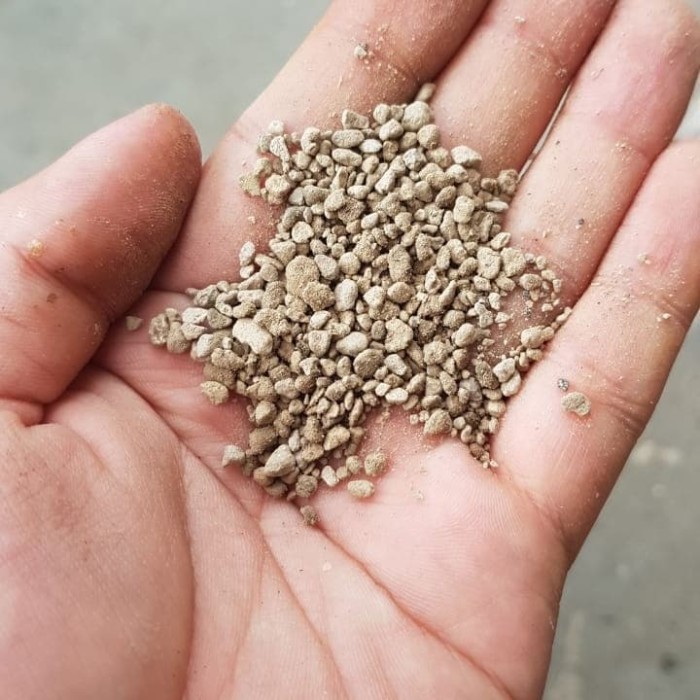 Batu apung kecil - Pumice Stone Media tanam 1 kg