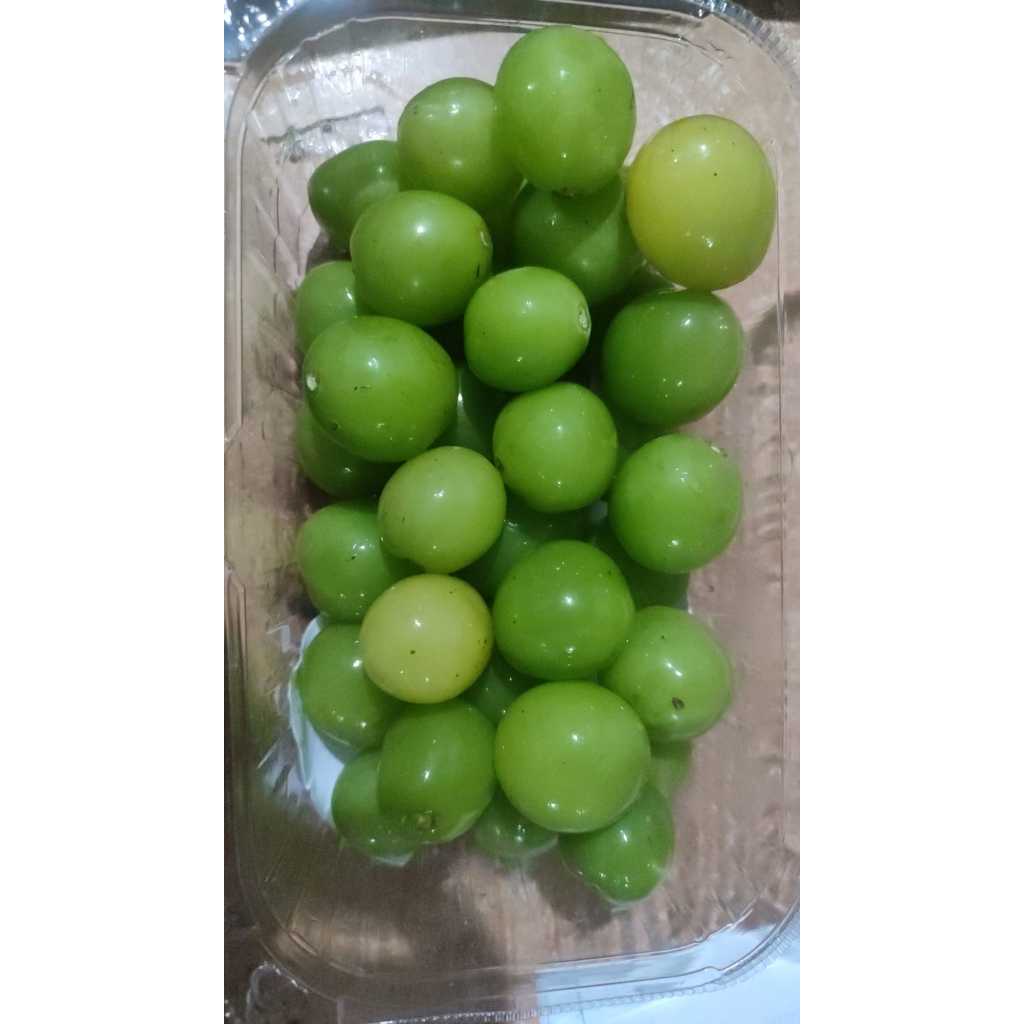 

Anggur Muscat CN (Mengkuning) IMPERFECT