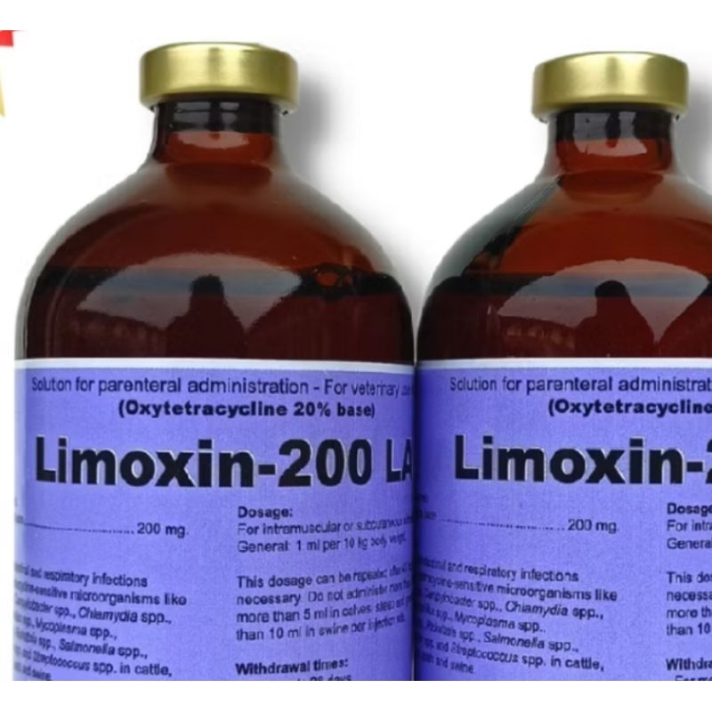 Limoxin 200 LA Long Acting Berspektrum Luas Untuk Hewan Sapi Kambing Babi Domba