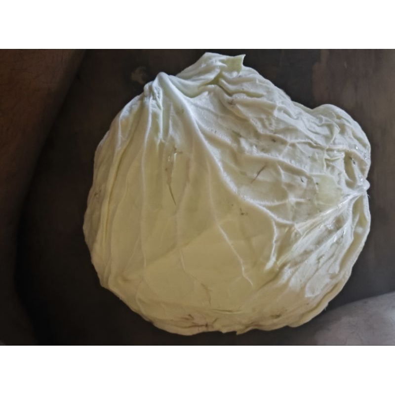 

kol putih/kubis/cabbage berat berat 1kg