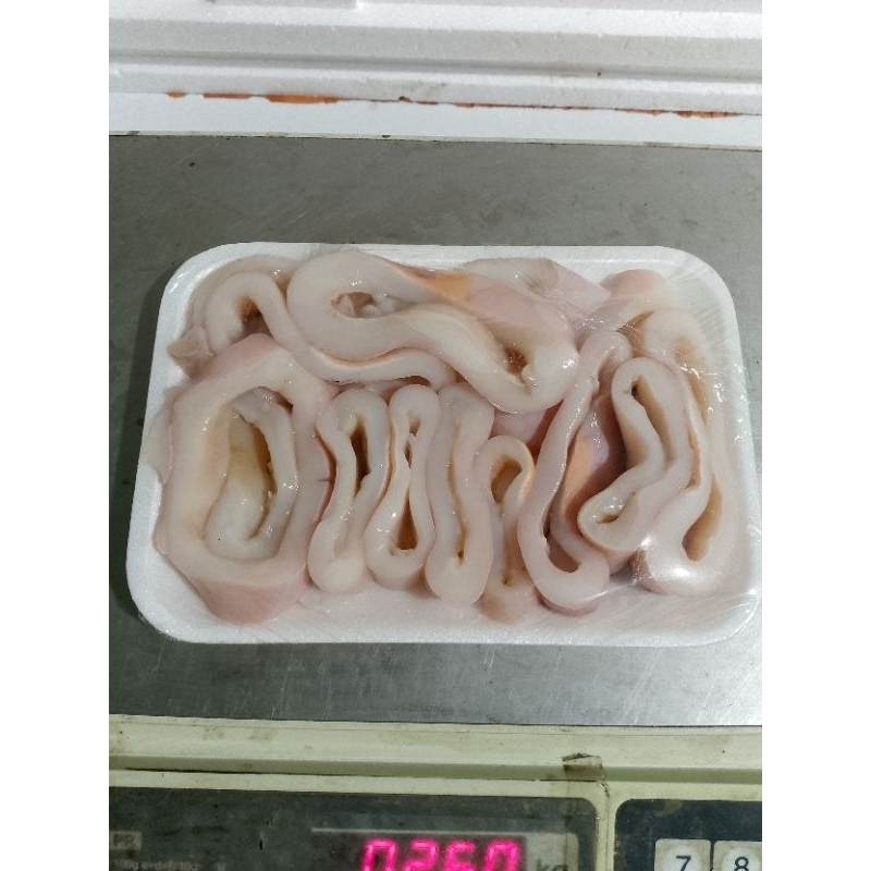 

Ikan Cumi Ring 500Gr/Cumi Segar Potong