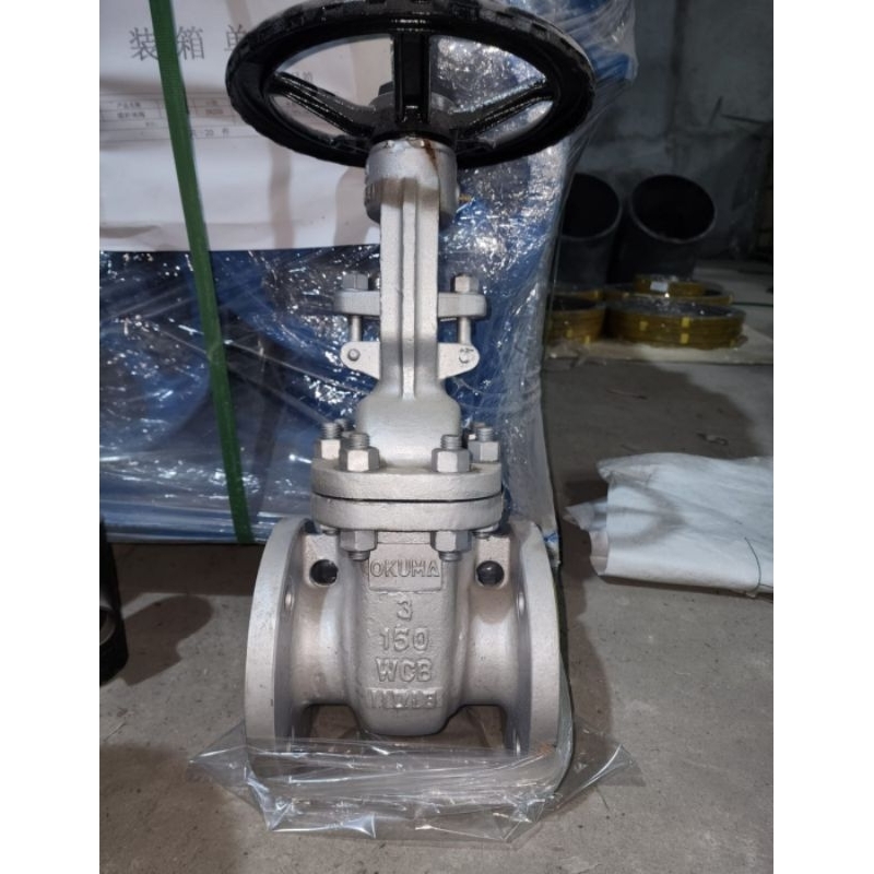 GATE VALVE CARBON STEEL / WCB OKUMA ANSI 150 FLANGE 2½"
