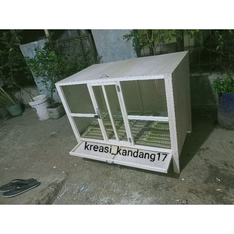 kandang ayam box/pitikan/pembesaran