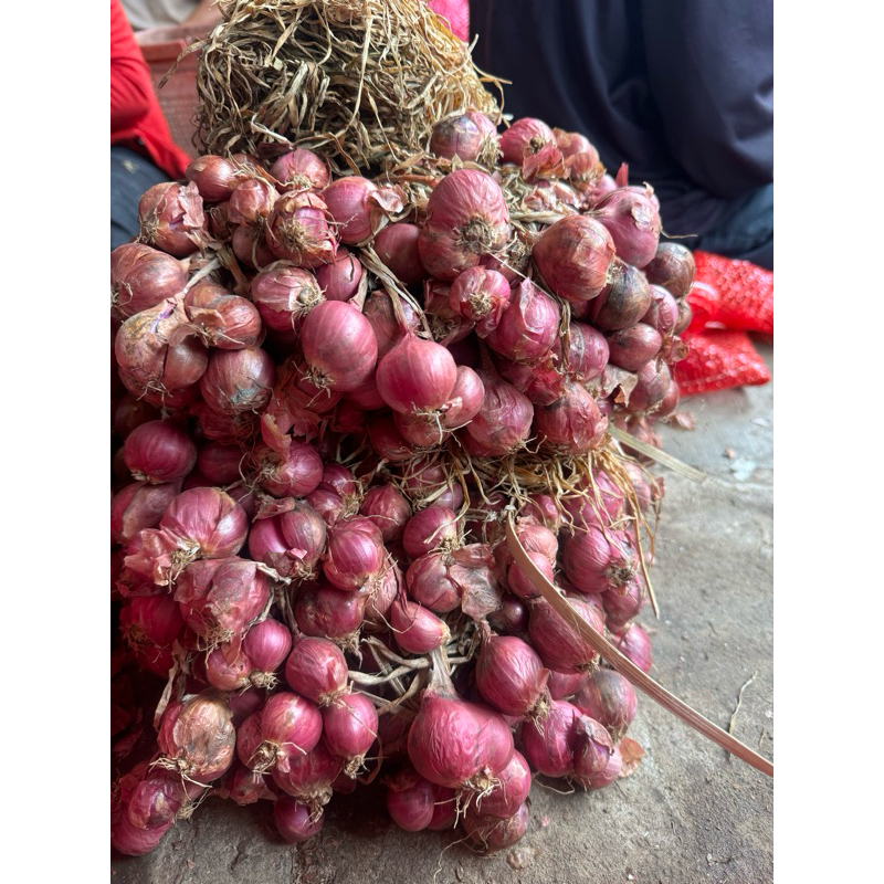 

bawang merah / bawang merah jawa / bawang merah daun jawab bima / bawang merah bima