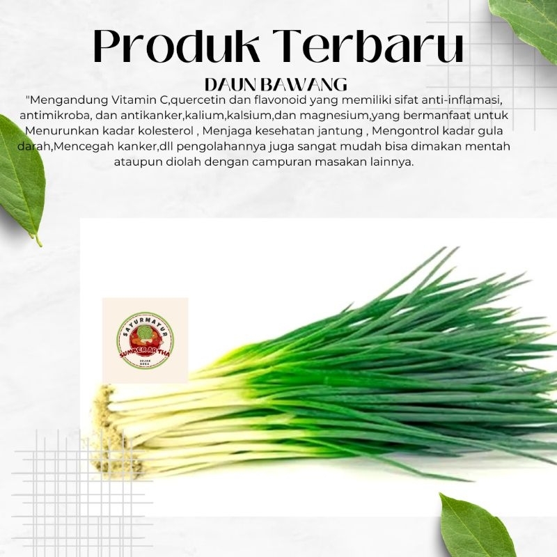 

Sayur Fresh 250Gr 500Gr 1kg Daun Bawang segar murah fast delivery