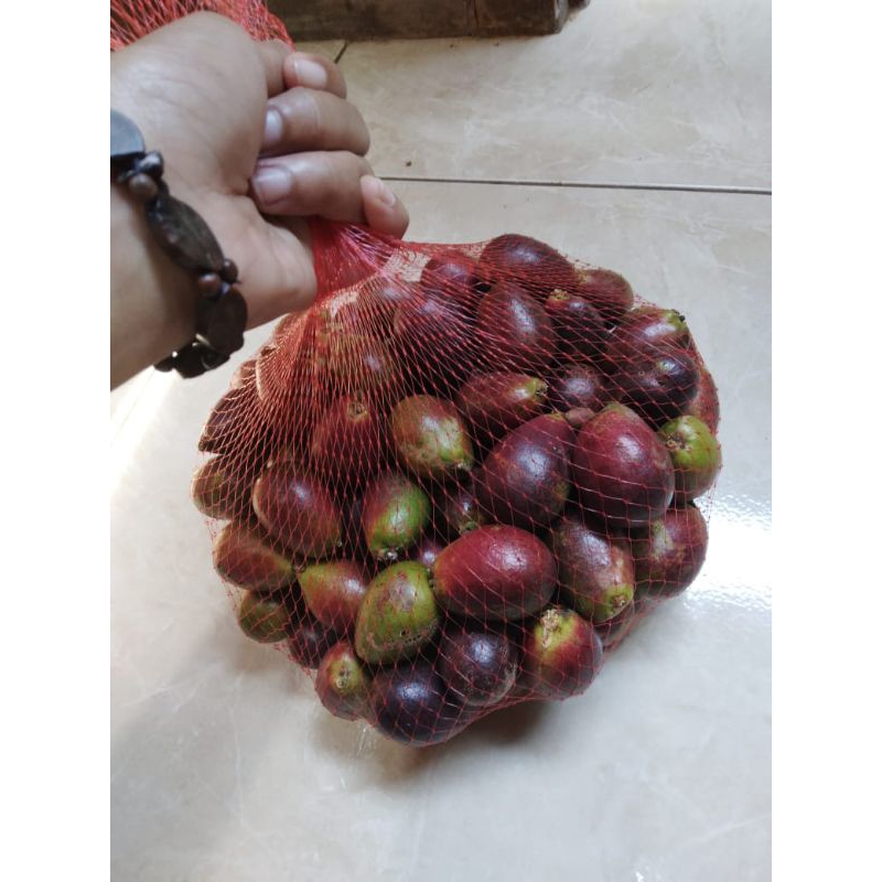 

BUAH MATOA 1KG SEGAR MANIS NYUSS