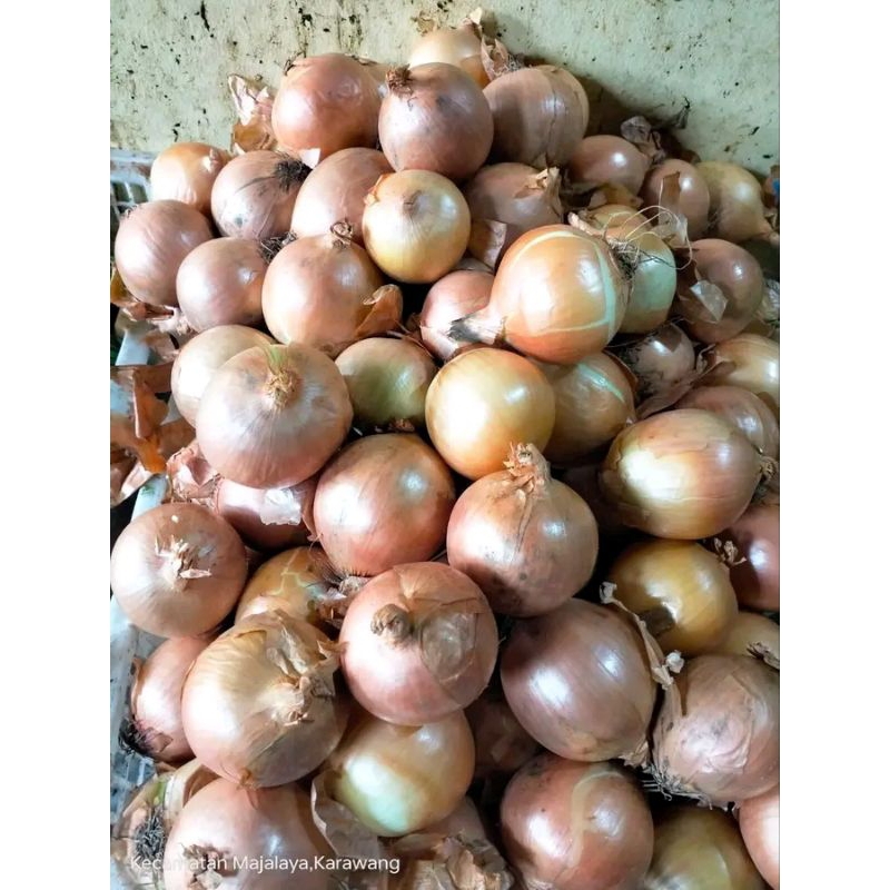 

bawang bombay