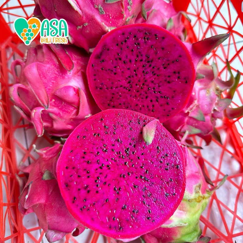 

buah naga promo 1kg