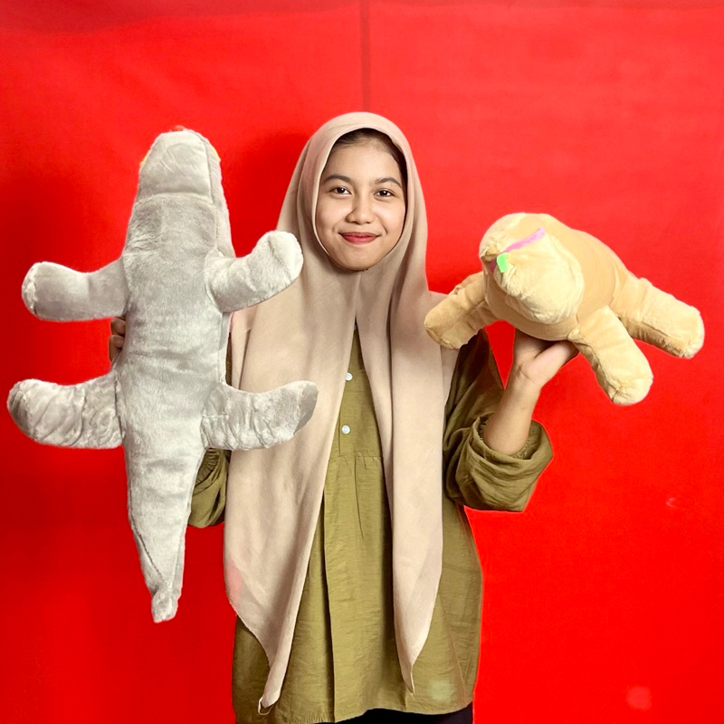 Mainan Boneka kadal lucu boneka Stuffed animal biawak komodo reptil Ecofootwear.id