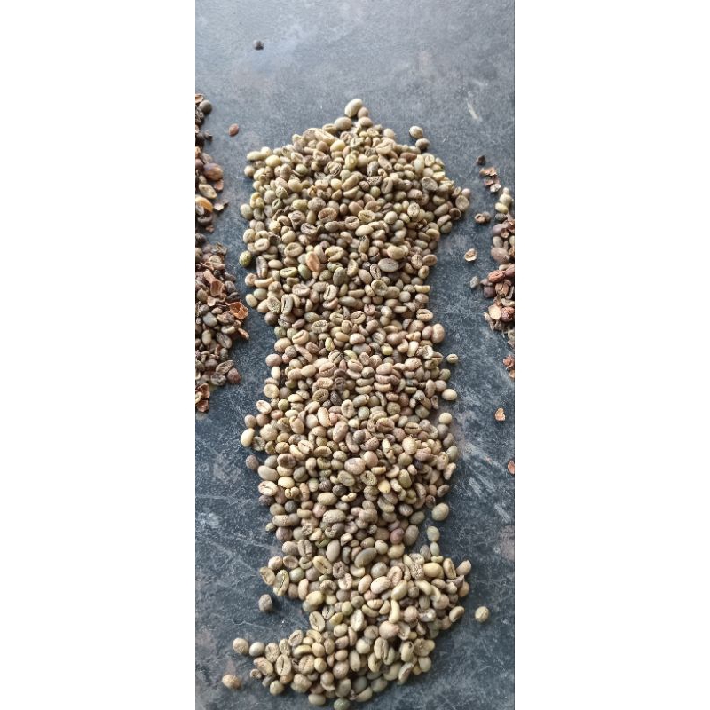 

Greenbean Robusta origin Pagaralam Sumatera Selatan