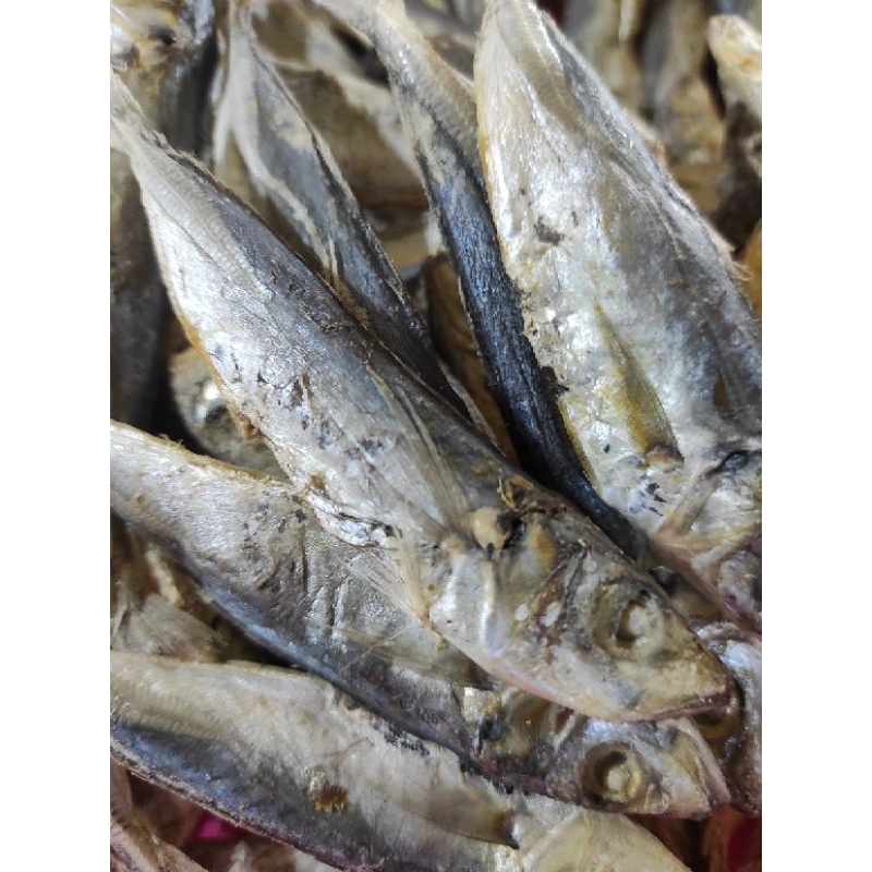 

IKAN ASIN JAPUH 1ONS