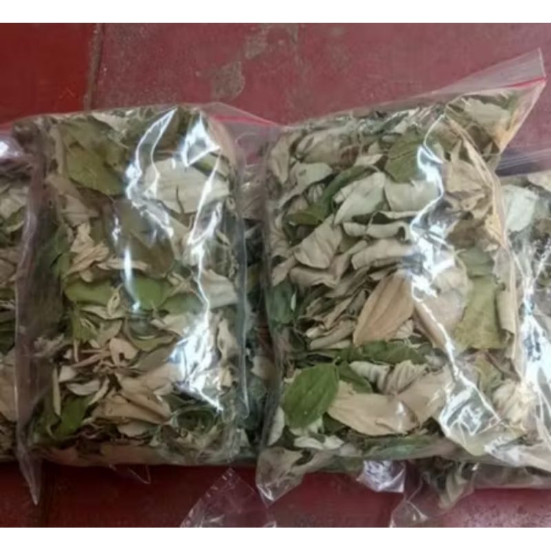 

DAUN BIDARA ARAB KERING 100 GRAM (MINUM / MANDI / RUQYAH)