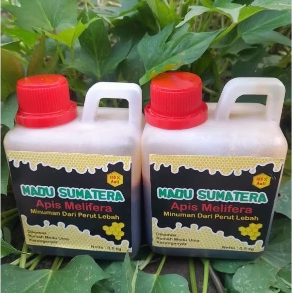 

Madu akasia hutan asli 1kg & ½kg