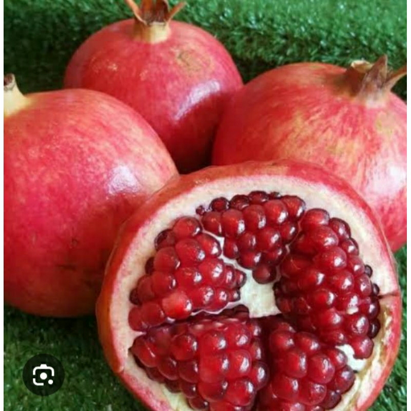 

Buah delima merah biji lunak delima spanyol manis 1 kg
