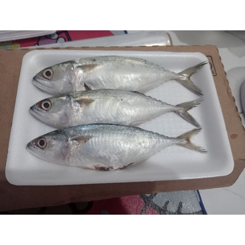 

ikan Kembung Banjar