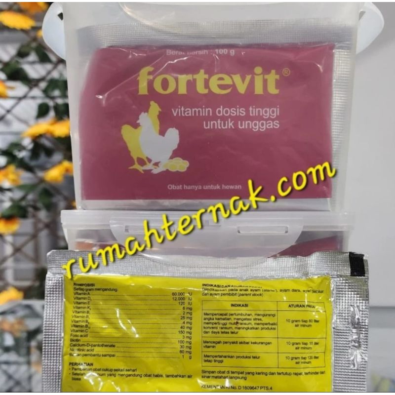 Multivitamin Dosis Tinggi FORTEVIT 1kg (10x100g)