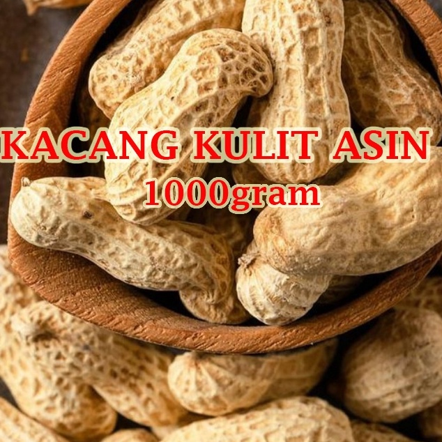 

HARGA TERJUN BEBAS Kacang Sangrai Kulit Super 1kg Kacang Kulit Asin Oven Cemilan Snack Makanan Ringan