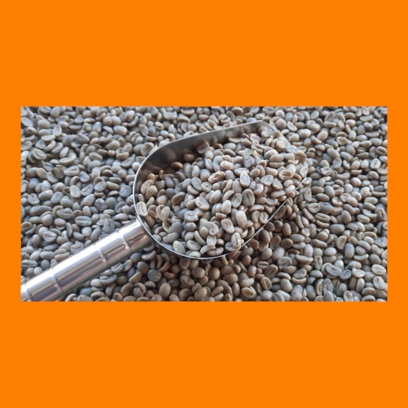 

Green Beans Arabica Bengkulu Sumatera