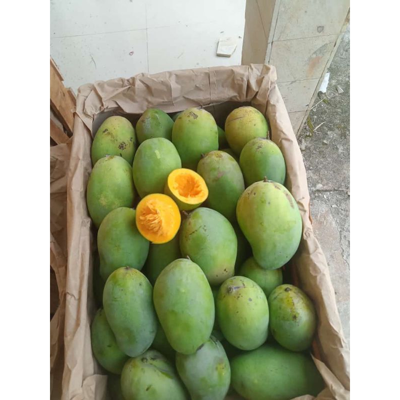 

mangga harum manis Jawa tengah