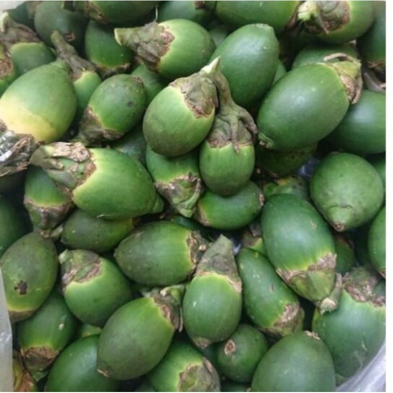 

buah pinang muda segar 1kg