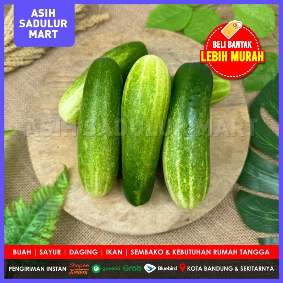 

Timun / Bonteng / Mentimun / Ketimun 500gr Promo Bandung | Asih Sadulur Mart