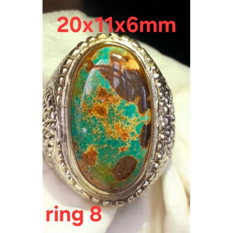 Pirus Persia Abdul Rozaq  urat emas