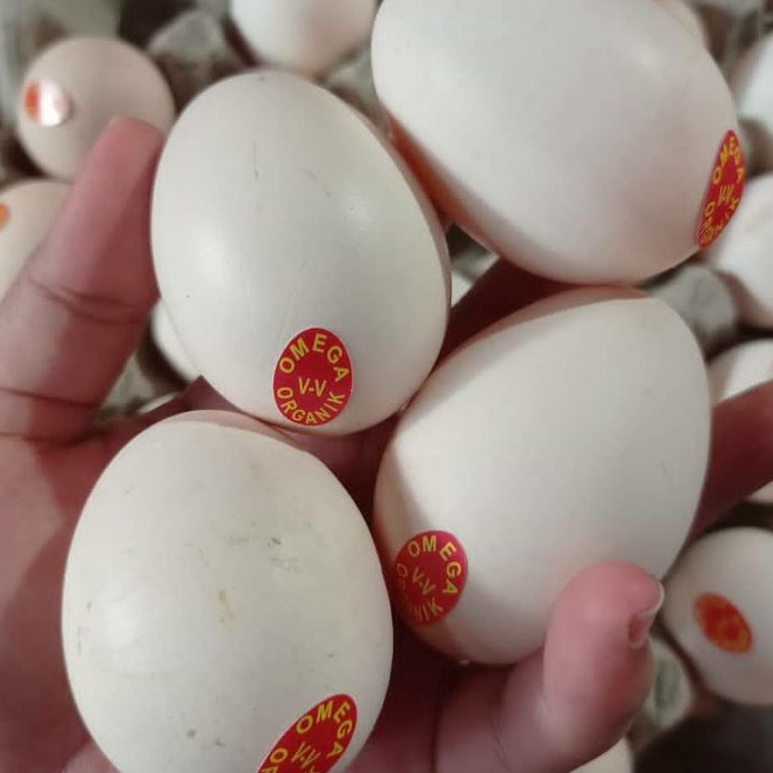 

KP8 Stiker Label Untuk Telur