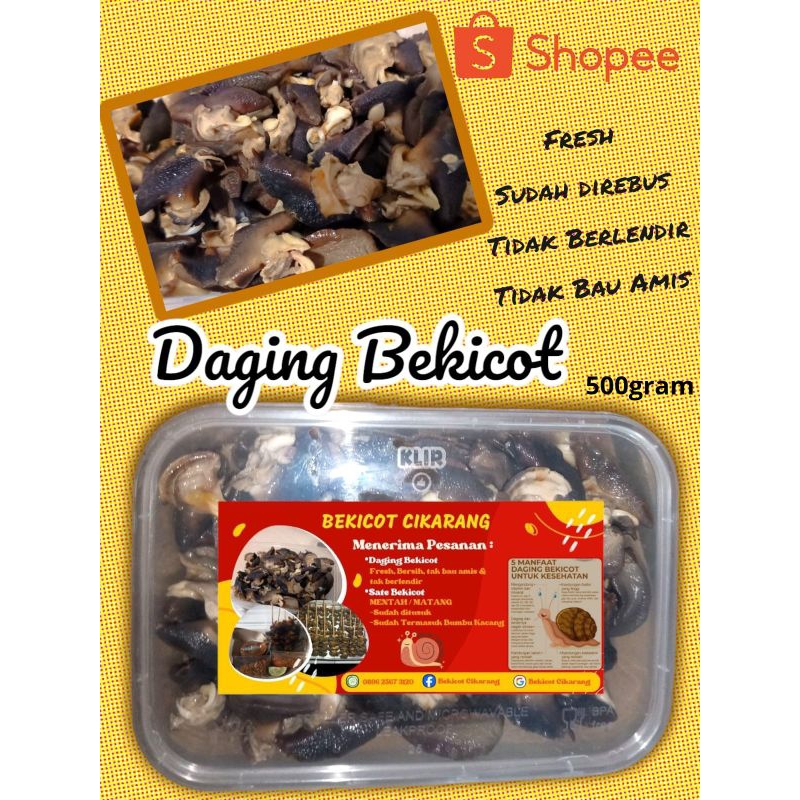 

Daging Bekicot 500gram