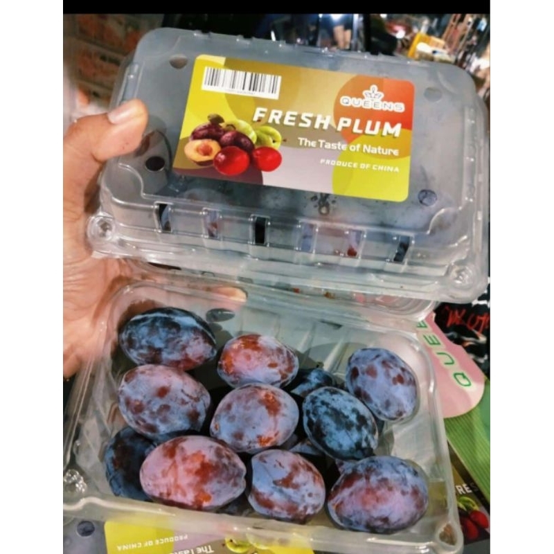 

Buah Plum 500gr (manis)