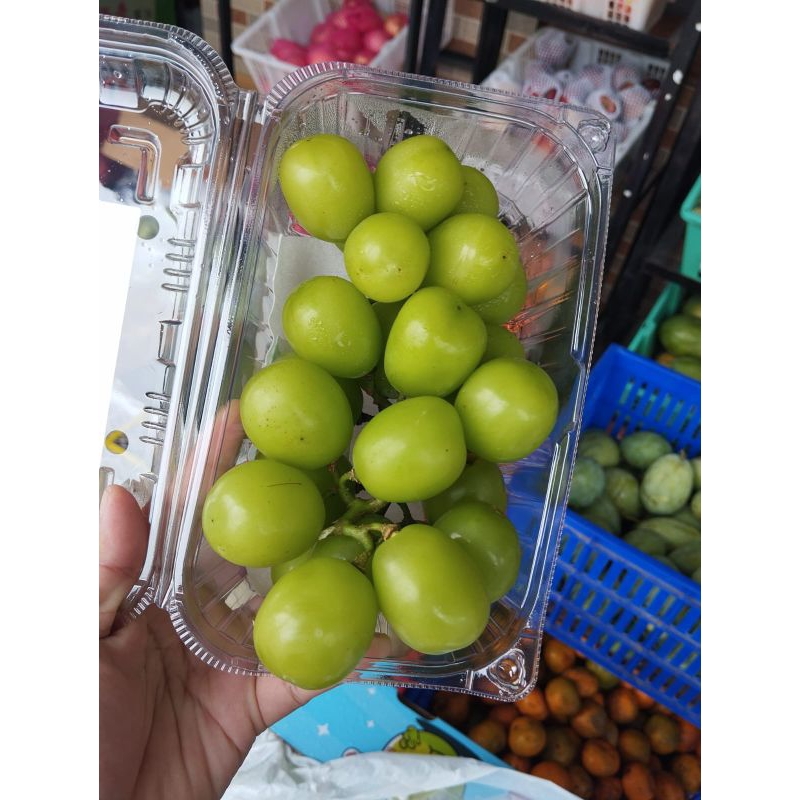 

Muscat Pack Jumbo Premium