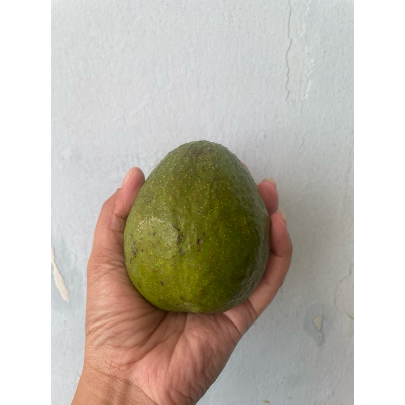 

Alpukat mentega