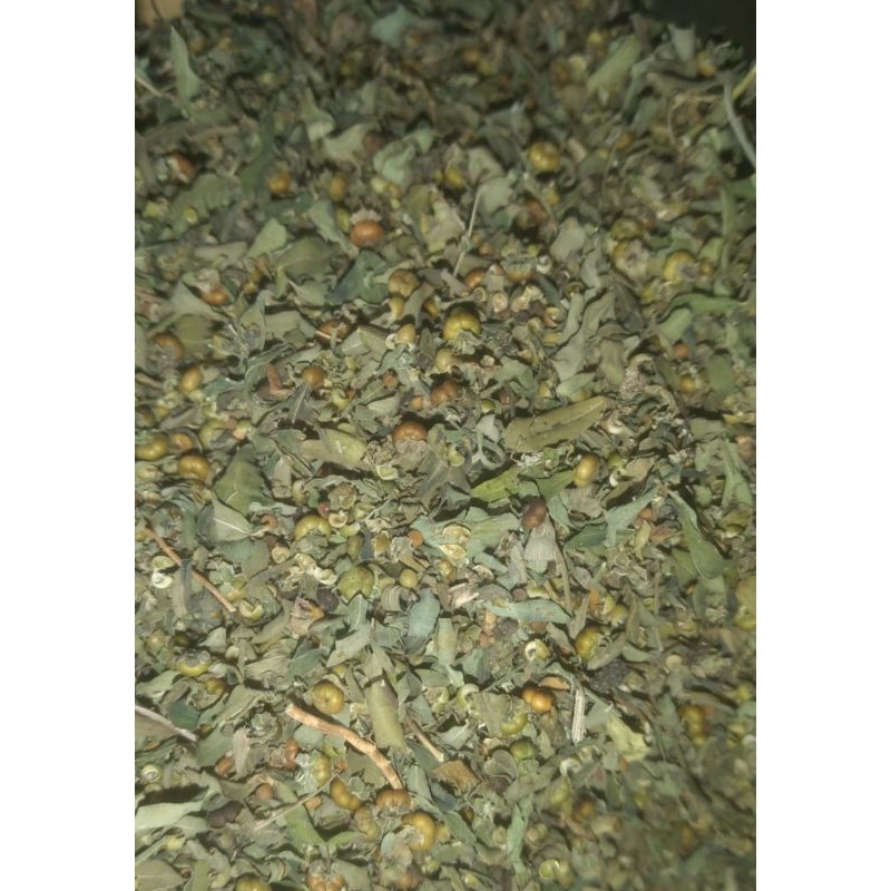 

[ 1.kg ] DAUN MENIRAN KERING - Original - Tanpa Ranting - Tanpa Batang ( DAUN & BUAH ) Kemasan kiloan