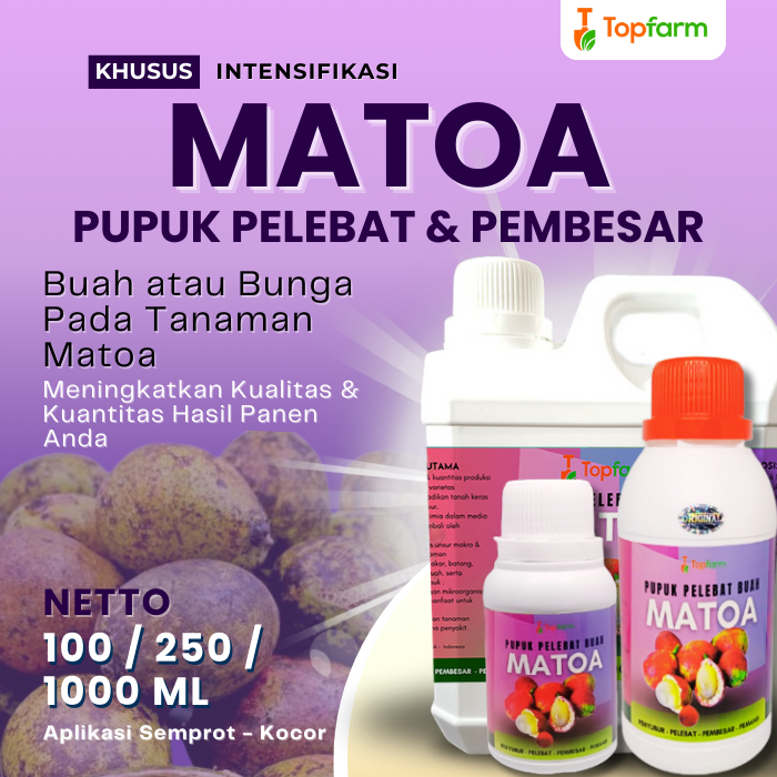 Pupuk Pelebat Buah Matoa / Pupuk Booster Buah Matoa / Pupuk Buah Matoa / Pupuk Khusus Pelebat Buah /