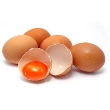 

Telur Omega ll Kebun sayur