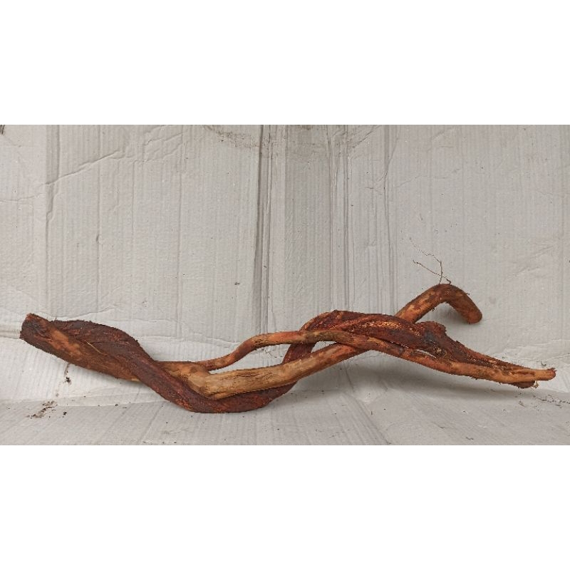 santigi gunung ,aquascape