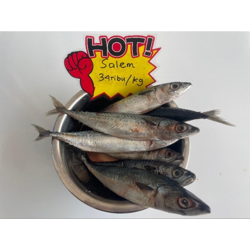

Salem / mackarel 1 kg ikan laut seafood beku frozen Bekasi instan kurir