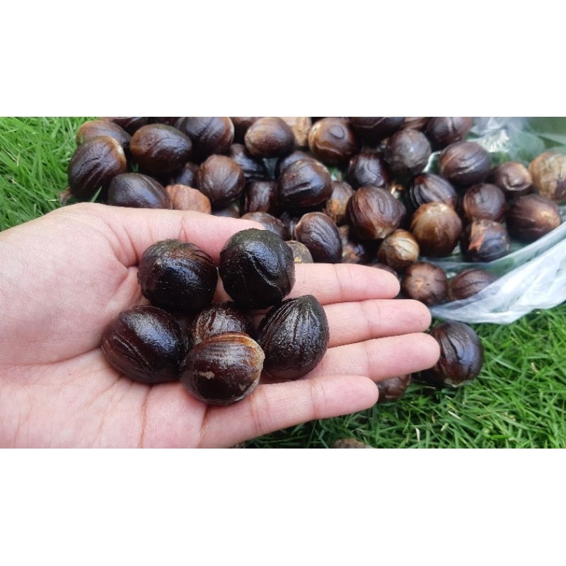 

Biji Pala Kering Berkualitas Asli Murni 100g ( garansi 100% )