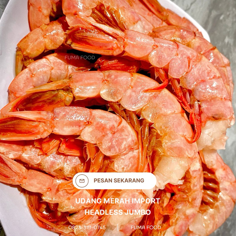 

Udang Merah Argentina Headless Jumbo