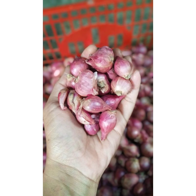

Bawang Merah Jawa Tanggung Garing Timbangan 1kg