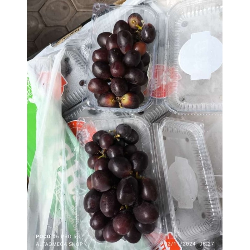 

anggur muacat black